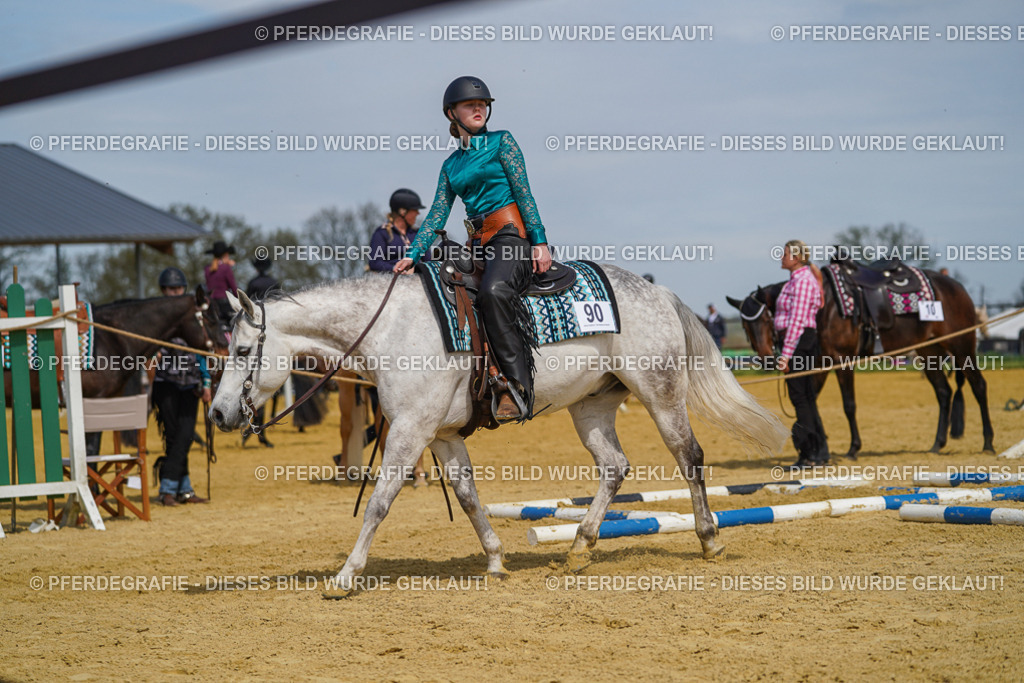 DSC04678 | Pferdegrafie