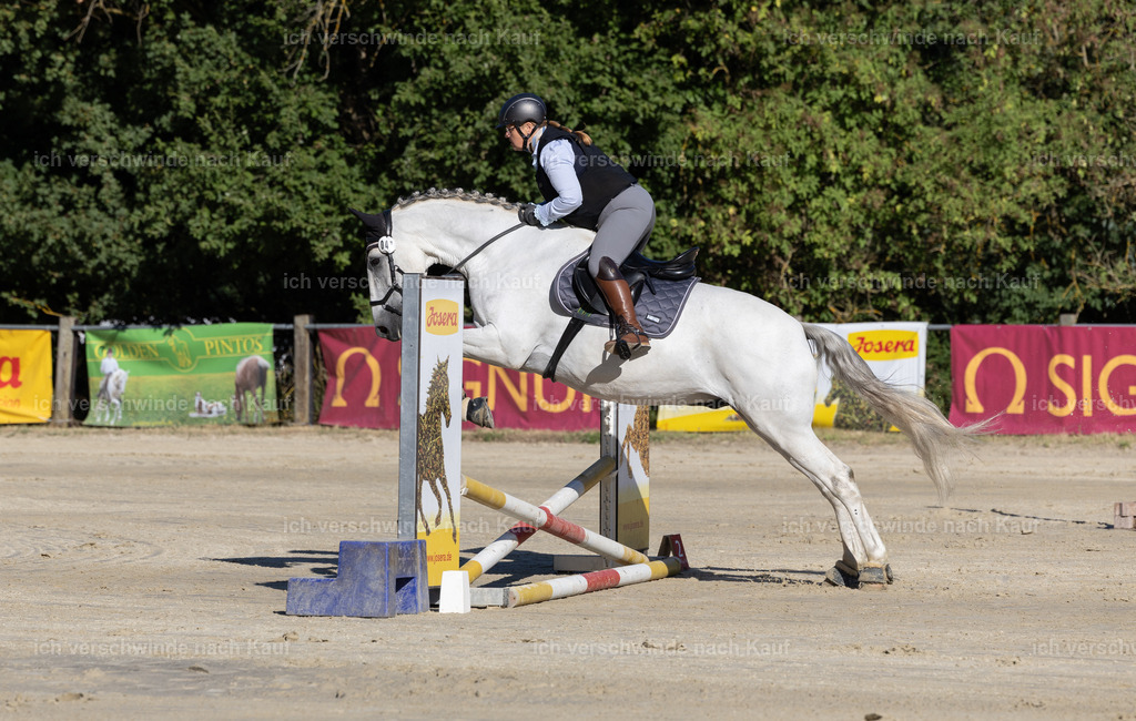 WL_Speed_50_KerstinBernhardt-8 | working equitationturnier fotograf videograf stoibphotography marixx film working equitation deutschland reitsport turnierfotografie eventfotografie equestrian events