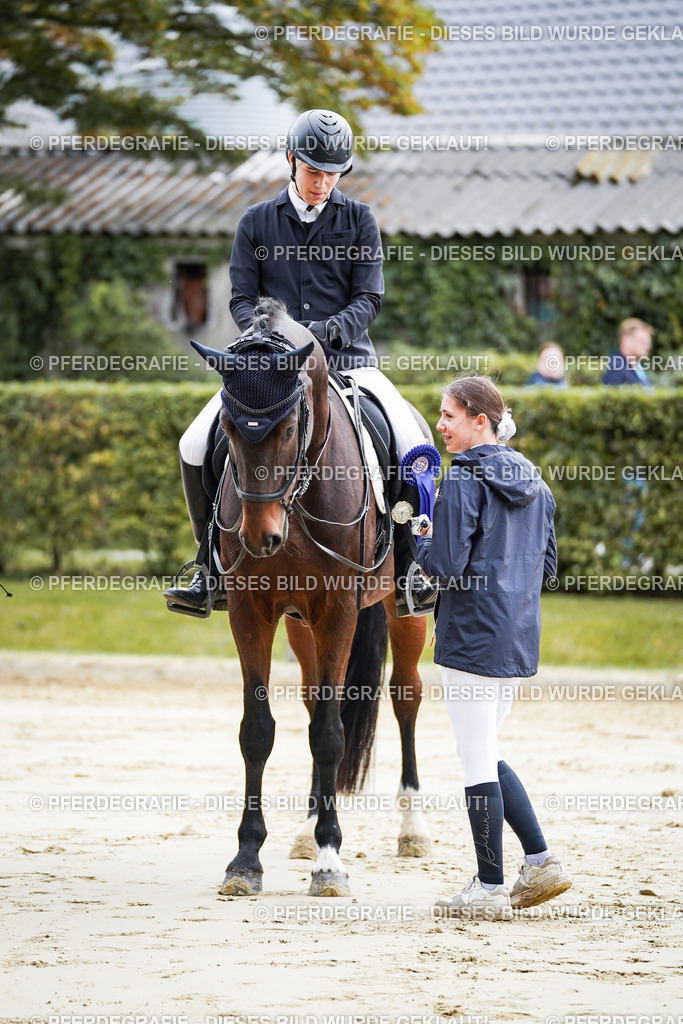 DSC04999 | Pferdegrafie