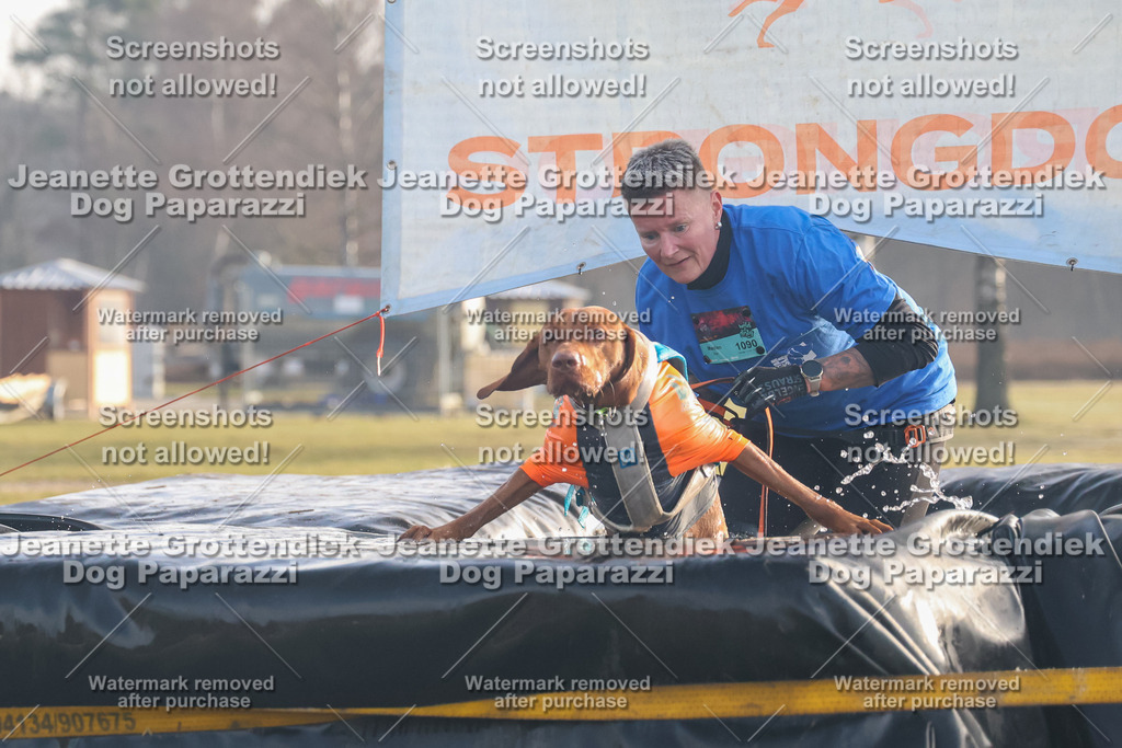 Dog Paparazzi - SD North 0326 900930-18 | Dog Paparazzi Jeanette Grottendiek Fotografie & Videografie - Realisiert mit Pictrs.com
