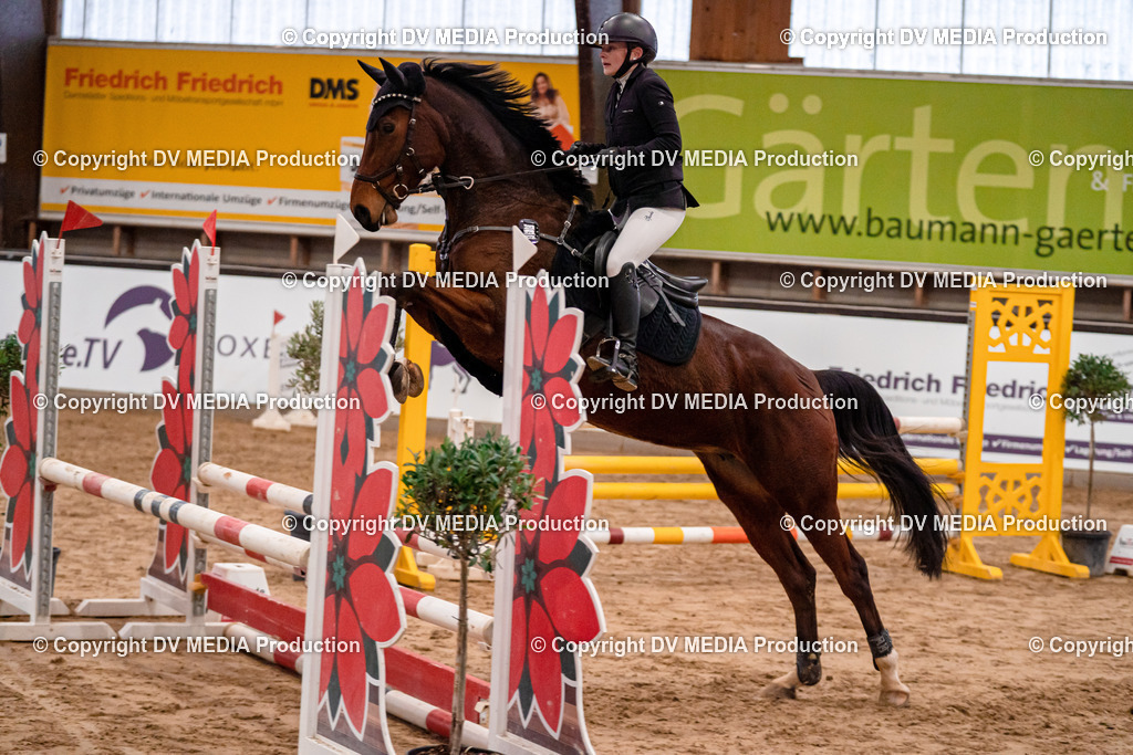 Kranichstein Tag 3-122 | dv-media-shop - Realisiert mit Pictrs.com