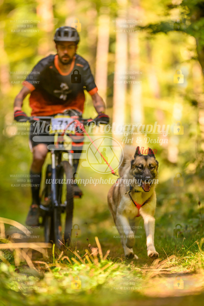 MompixPhotography_Yens2025_B2-93 | PayLife