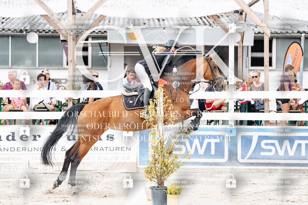 CK906260 | Turnierfotografie Pferdefotografie Trier Rheinland-Pfalz Pferdesport Reitsport Tierfotografie Sportfotografie Pferdevideo Pferdevideografie Equestrianvideography equestrianphotography  - Realisiert mit Pictrs.com