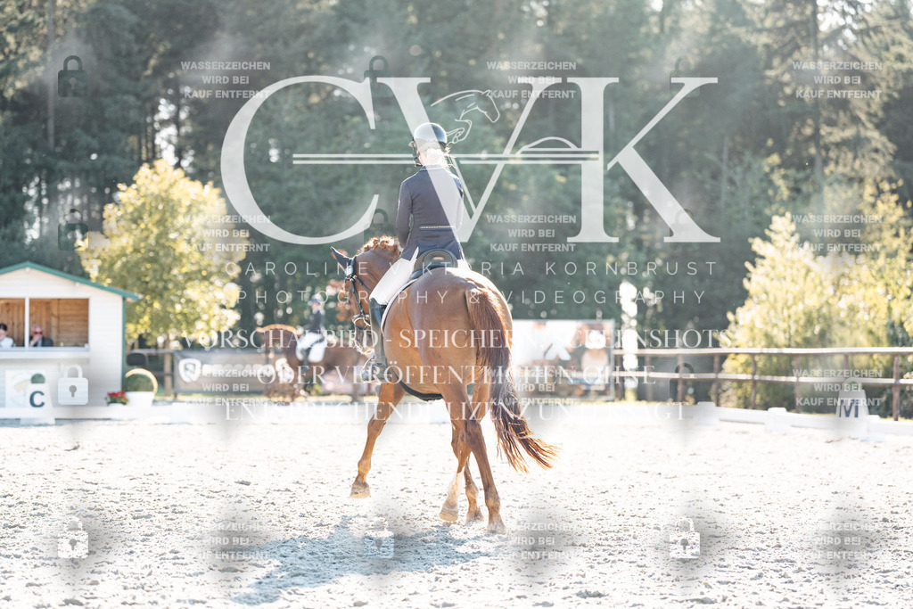 CK906861 | Turnierfotografie Pferdefotografie Trier Rheinland-Pfalz Pferdesport Reitsport Tierfotografie Sportfotografie Pferdevideo Pferdevideografie Equestrianvideography equestrianphotography  - Realisiert mit Pictrs.com