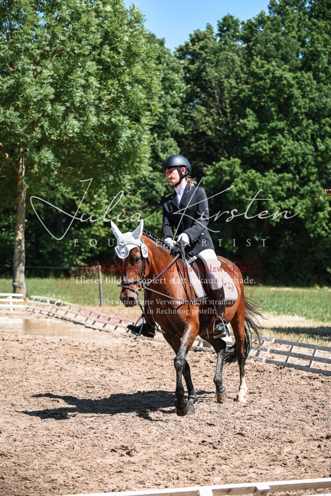 DSC_3047 | Pferde- und Turnierfotografie in Westsachsen. Pferdeportraits, Auftragszeichnungen und intuitive Kunst.