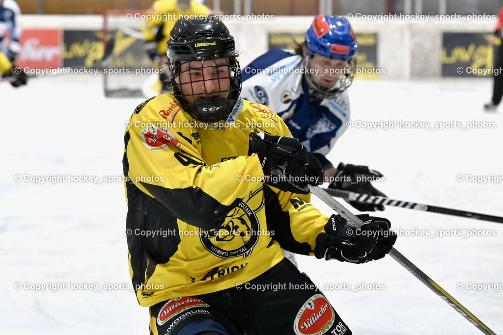 EC Hornets Spittal vs. ESC Steindorf 23.2.2024 | #96 Peharz Joshua EC Hornets Spittal, EC Hornets Spittal vs. ESC Steindorf 23.2.2024, EC Hornets Spittal vs. ESC Steindorf 23.2.2024 am 23.02.2024 in Spittal an der Drau (Eissportzentrum Spittal), Austria, (Photo by Bernd Stefan)
