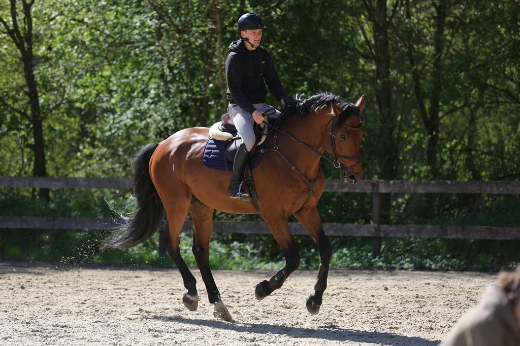 0P6A8122 | Willkommen bei Brunnmayr - Design & Fotografie – Ihrem Spezialisten für Reitturniere und Pferdeveranstaltungen in Oberösterreich, Salzburg und Bayern! Seit über 17 Jahren sind wir leidenschaftlich dabei.