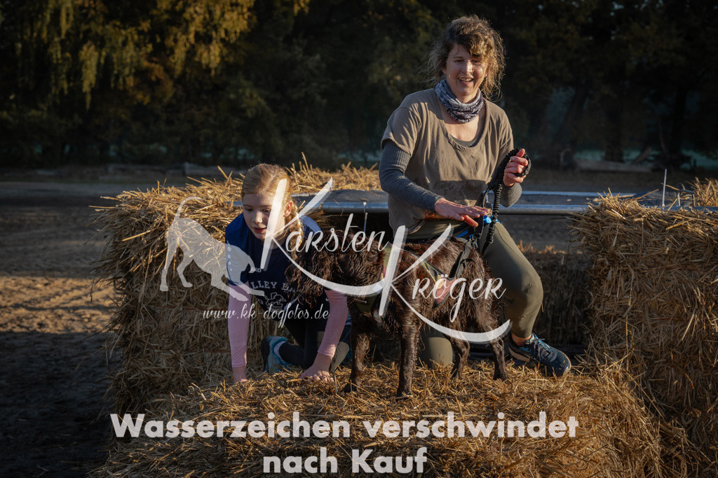 0921_ZZ92590 | kk-dogfotos