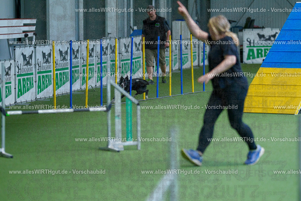 @allesWIRTHgut_Tierfotografie - www.allesWIRTHgut.de - 2604261510-7R504756 | Professionelle Tierfotografie in Mönchengladbach von Daniel Wirth (allesWIRTHgut). Liebevolle & natürliche Bilder von Hunden & Katzen für unvergessliche Erinnerungen.
