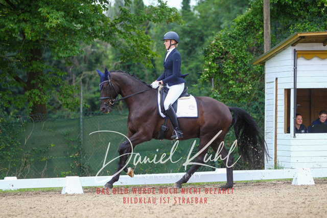 DKP40382 | Turniersportfotografie; Pferdefotografie; Dressurfotografie