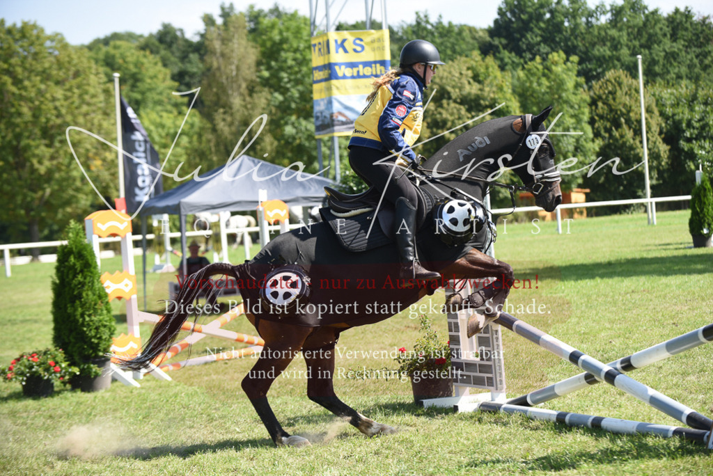 DSC_0403 | Pferde- und Turnierfotografie in Westsachsen. Pferdeportraits, Auftragszeichnungen und intuitive Kunst.