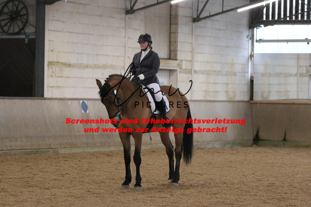 IMG_3639 | lmwpictures - Realisiert mit Pictrs.com