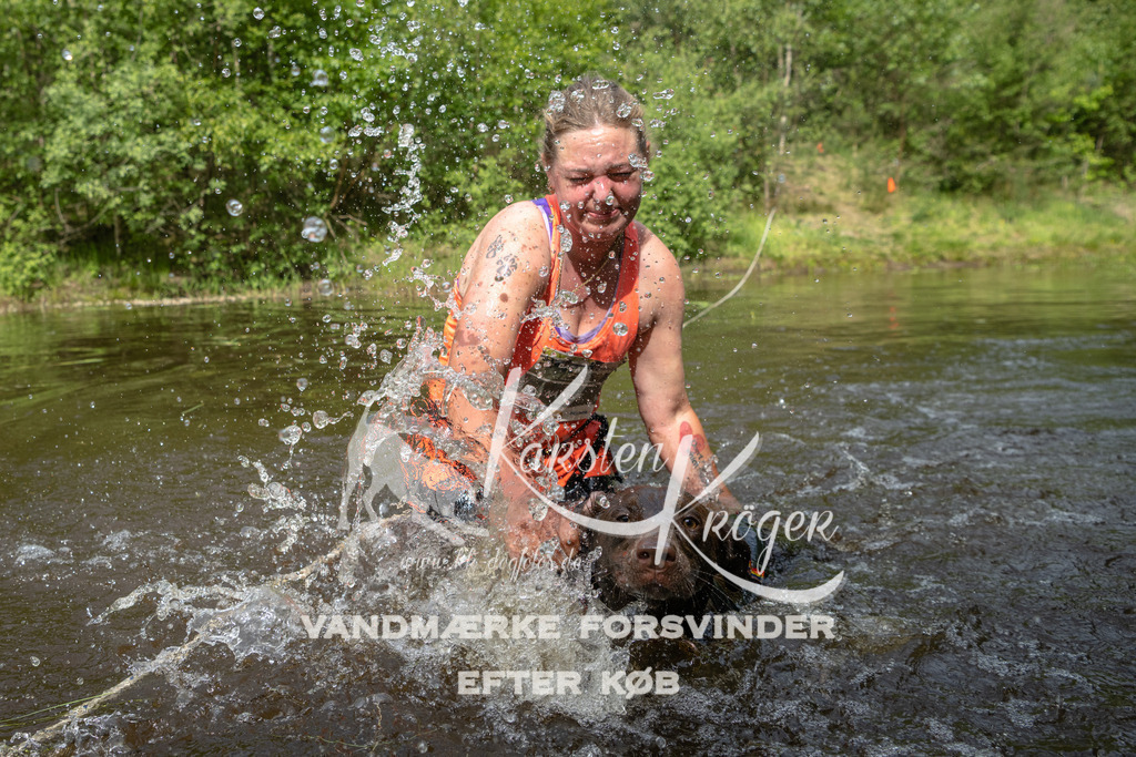 1033DKK993145 | kk-dogfotos