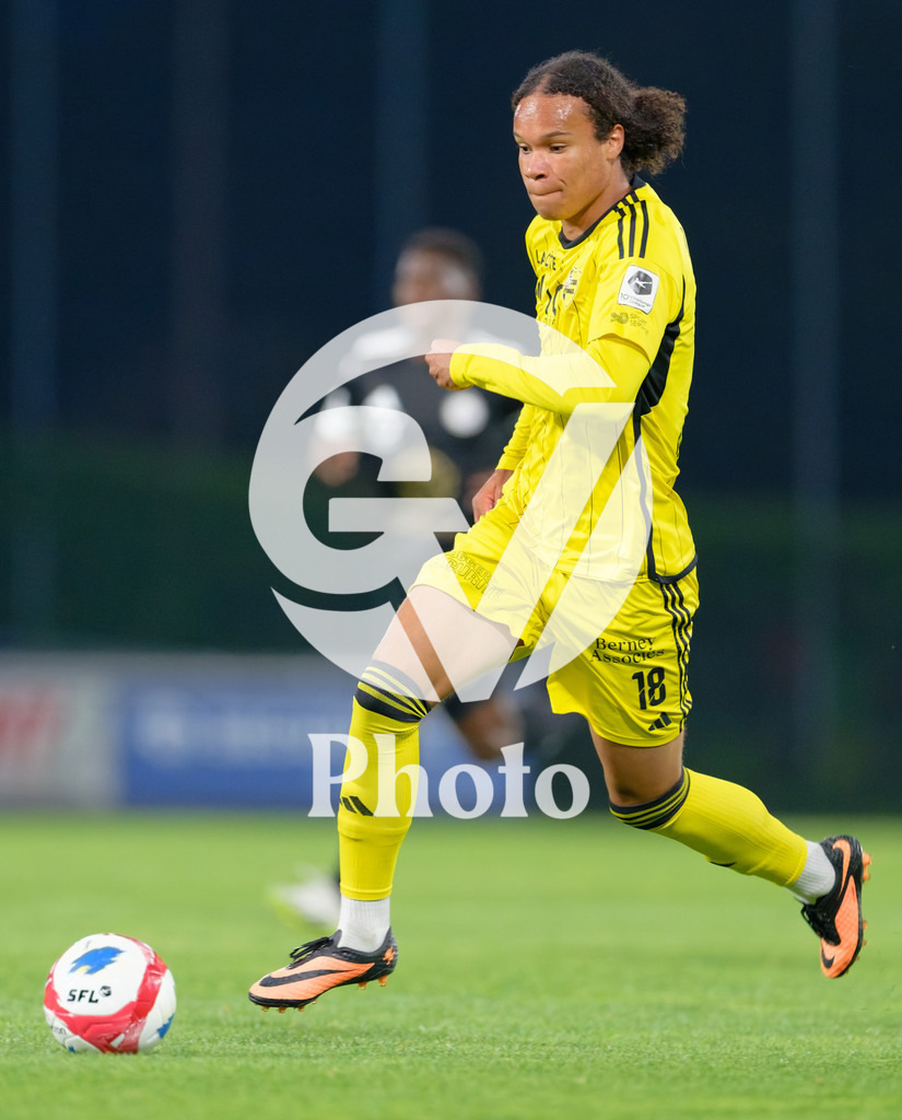 dieci Challenge League - FC Stade Nyonnais v FC Wil 1900 |  during the dieci Challenge League match between FC Stade Nyonnais and FC Wil 1900 at Centre sportif de Colovray in Nyon, Switzerland