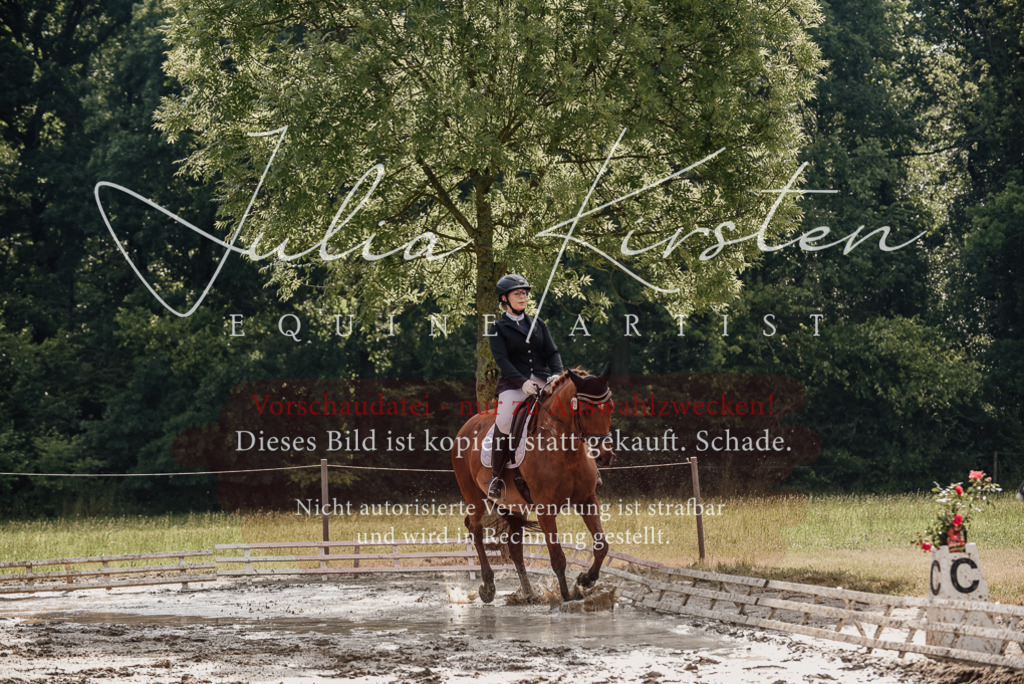 DSC_8951 | Pferde- und Turnierfotografie in Westsachsen. Pferdeportraits, Auftragszeichnungen und intuitive Kunst.