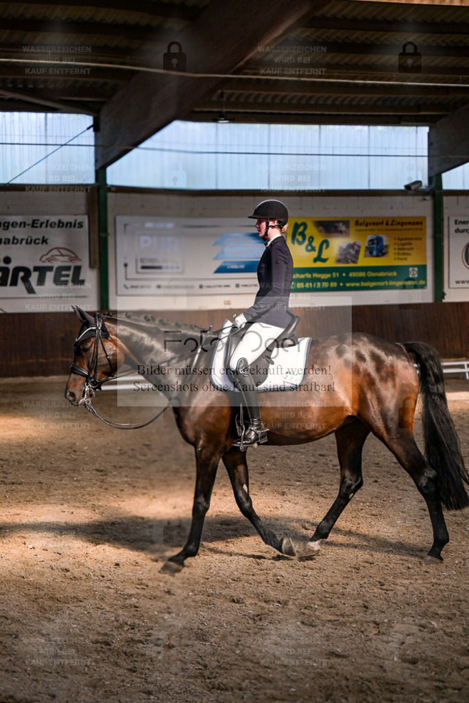 Reitturnier Voxtrup | Entdecke hochwertige Reitturnierfotos von Foto Oger. Professionell, emotional und authentisch – jetzt Lieblingsmomente im Shop bestellen. - Realisiert mit Pictrs.com