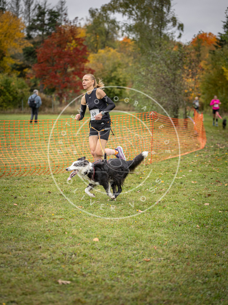 Pfotenfotografie_DV3A3185 | Hundefotografie, Tierfotograf, Pfotenfotografie, Fotoshooting Hund, Hunde Portrait, Hundesport, Hundeportraits, Heideshooting, Hunde, Sportfotograf, Hundefotograf, Turnierhundsport, THS,  - Realisiert mit Pictrs.com
