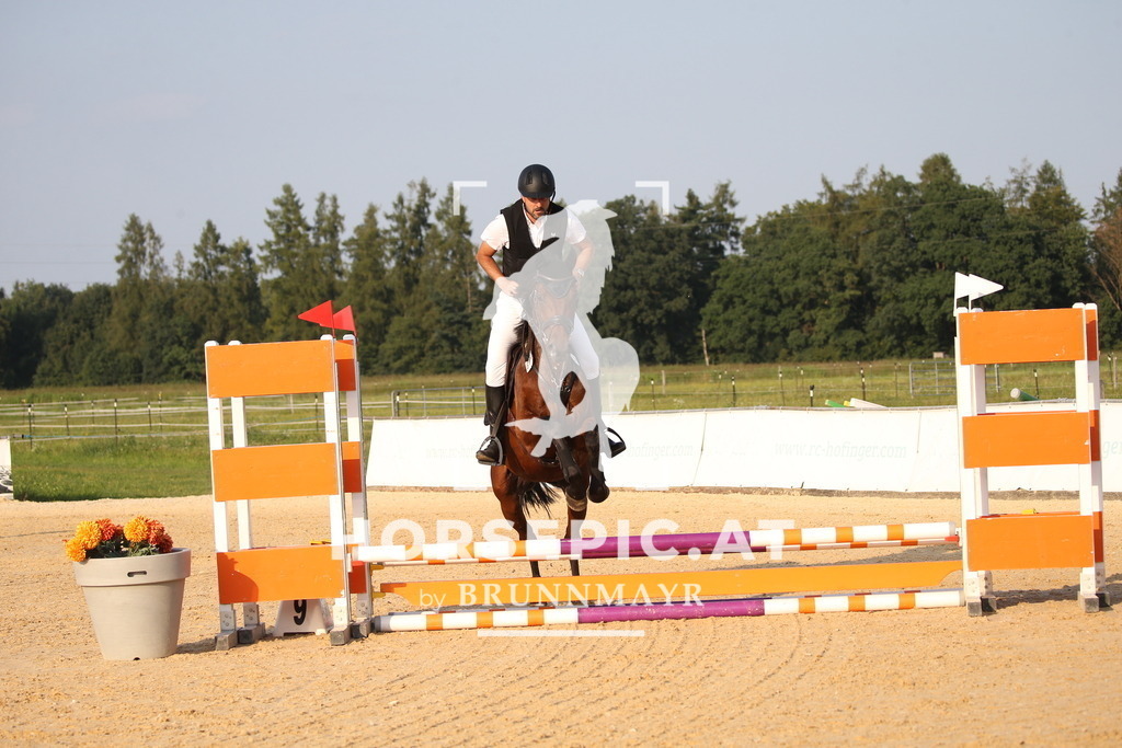 DL2Q2432 | Willkommen bei Brunnmayr - Design & Fotografie – Ihrem Spezialisten für Reitturniere und Pferdeveranstaltungen in Oberösterreich, Salzburg und Bayern! Seit über 17 Jahren sind wir leidenschaftlich dabei.