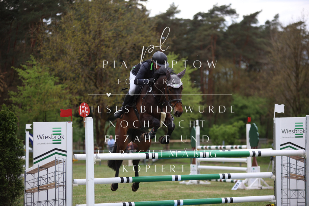 IMGT1757 | pl-fotografie