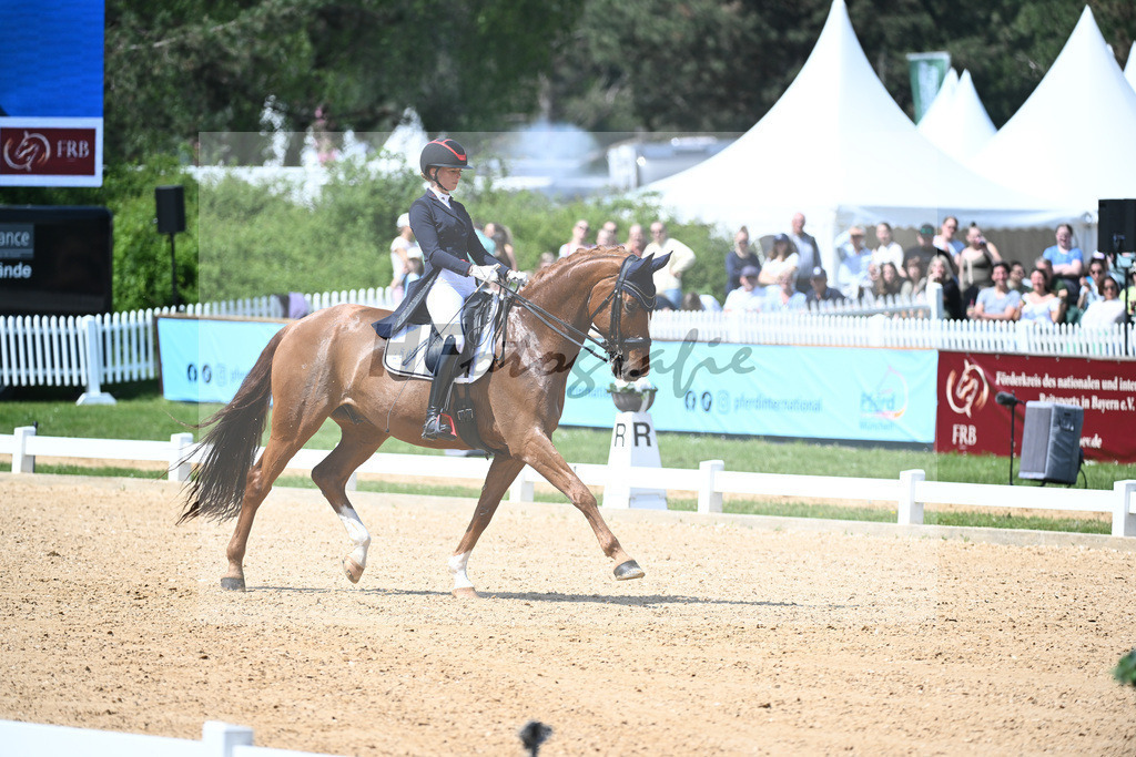 Baer_Superstar_12243708 | hf-fotografie - Realisiert mit Pictrs.com