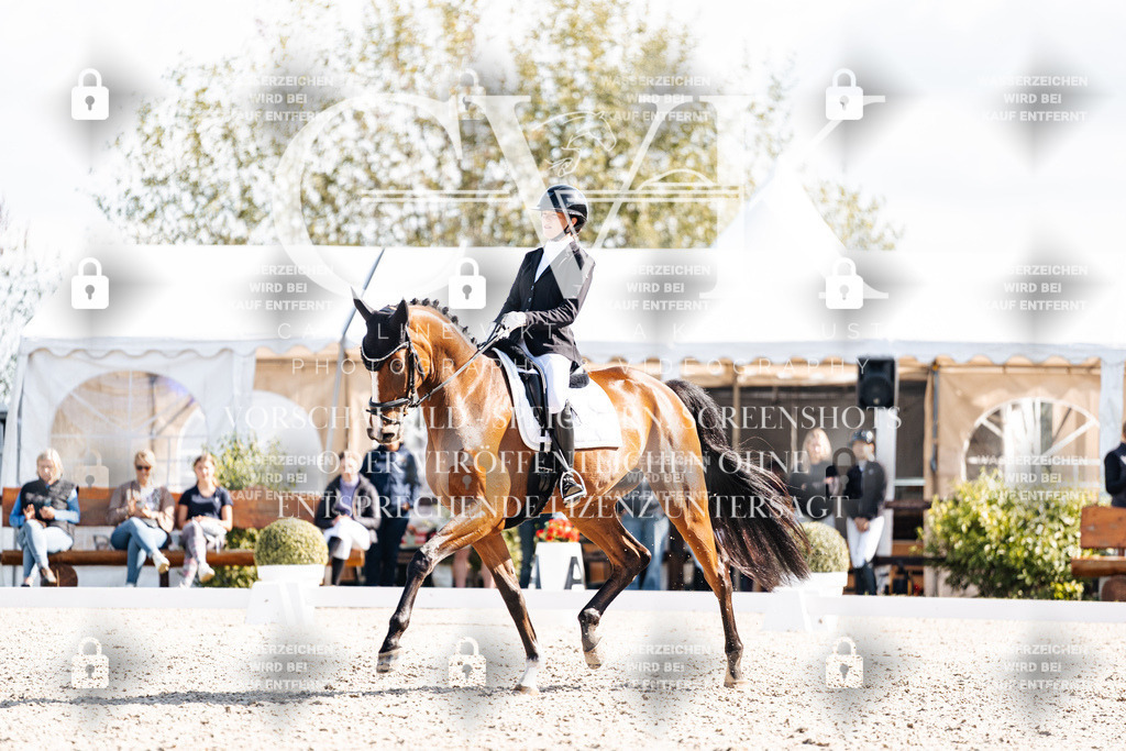 CK902280 | Turnierfotografie Pferdefotografie Trier Rheinland-Pfalz Pferdesport Reitsport Tierfotografie Sportfotografie Pferdevideo Pferdevideografie Equestrianvideography equestrianphotography  - Realisiert mit Pictrs.com