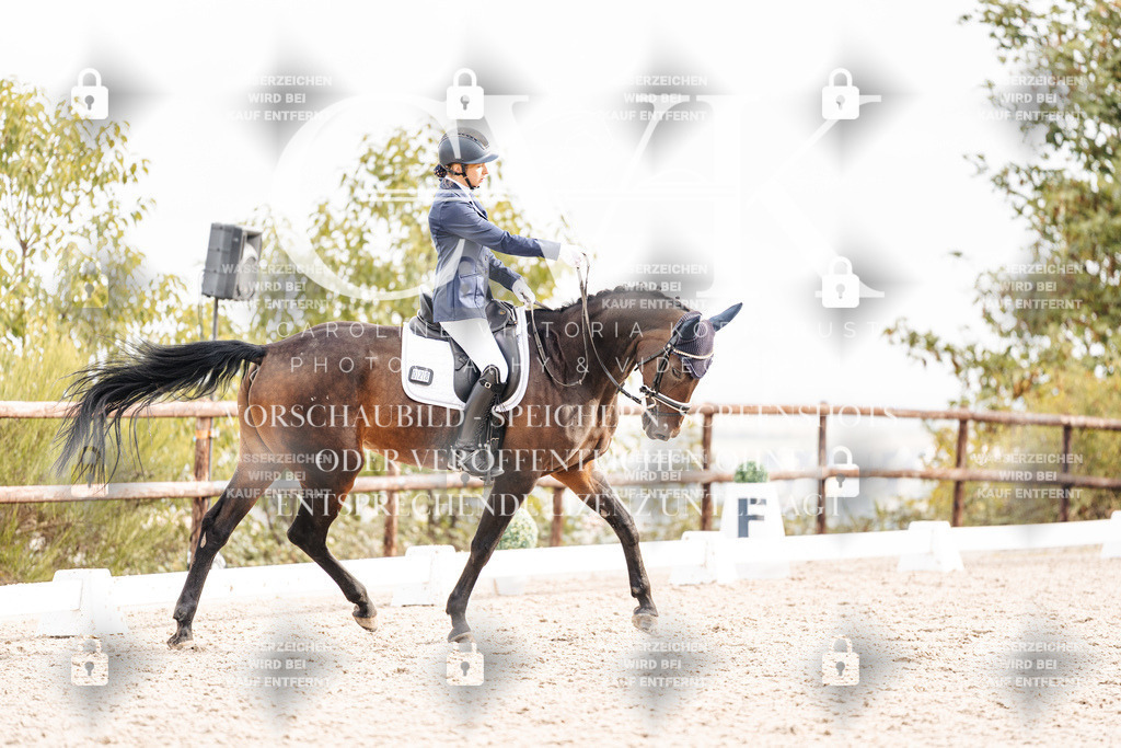 CK901445 | Turnierfotografie Pferdefotografie Trier Rheinland-Pfalz Pferdesport Reitsport Tierfotografie Sportfotografie Pferdevideo Pferdevideografie Equestrianvideography equestrianphotography  - Realisiert mit Pictrs.com