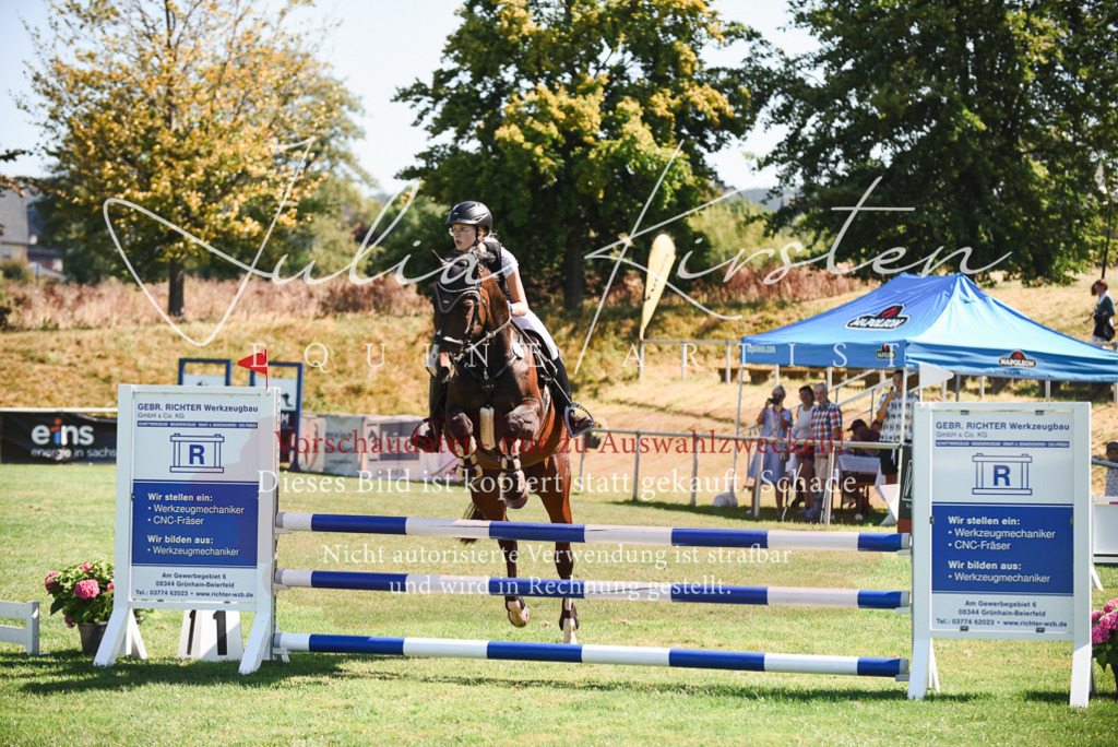 DSC_2707 | Pferde- und Turnierfotografie in Westsachsen. Pferdeportraits, Auftragszeichnungen und intuitive Kunst.