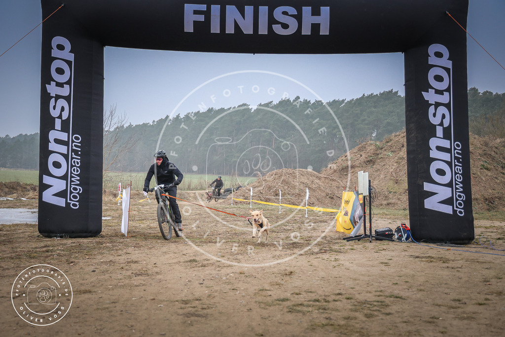 Pfotenfotografie_0L8A2384 | Hundefotografie, Tierfotograf, Pfotenfotografie, Fotoshooting Hund, Hunde Portrait, Hundesport, Hundeportraits, Heideshooting, Hunde, Sportfotograf, Hundefotograf, Turnierhundsport, THS,  - Realisiert mit Pictrs.com