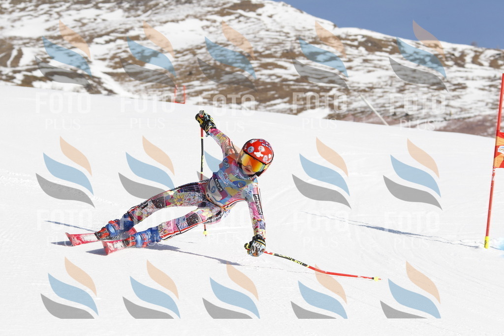 _U3G8777 | holidayphoto