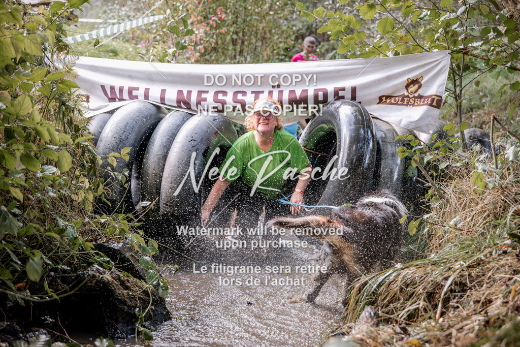 nelerasche_Hunsrück2026_Sa1400-1500_93 | nelerasche
