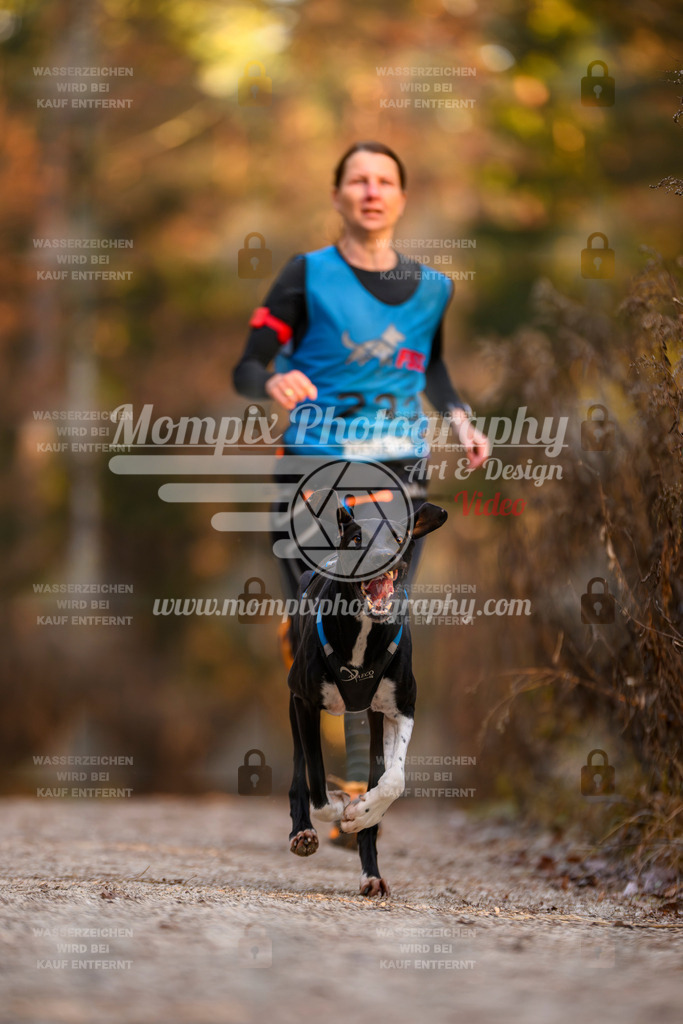 MompixPhotography_DM_AKDM_SO_2025_-49 | PayLife