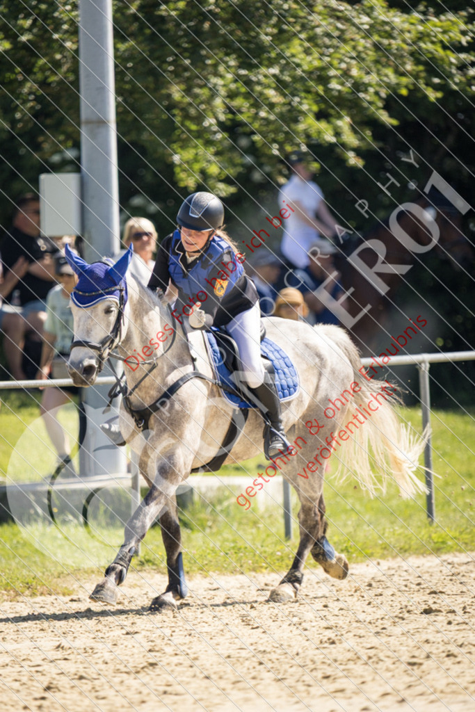 IMG_3153 | Sport-, Event- und Tierfotos in Profiqualität. Einfach auswählen, bestellen und herunterladen. Dein Moment – perfekt festgehalten.