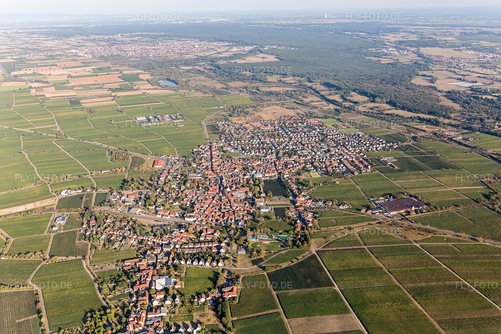Luftbild: Mussbach im Ortsteil Mußbach in Neustadt im Bundesland Rheinland-Pfalz in Deutschland. Foto: IMG_111805.jpg vom 16.09.2018 durch Werner Riehm/FLY-FOTO.de