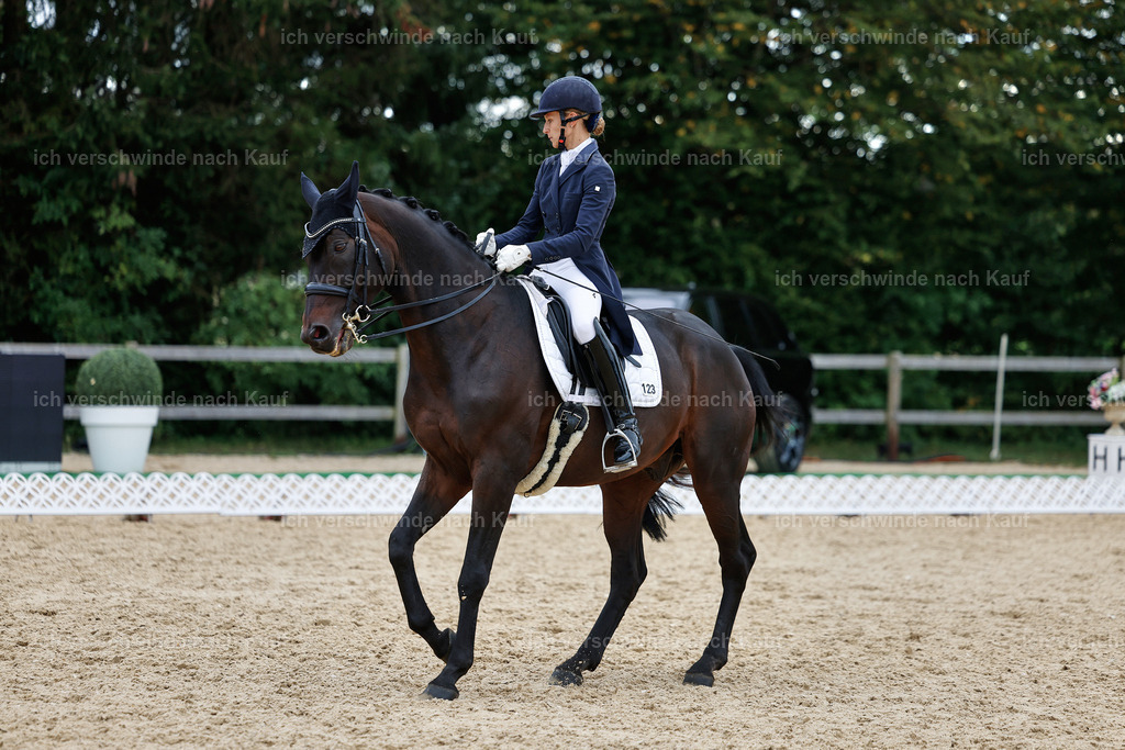 11-123-Dressur S___-StoibPH-1388 | working equitationturnier fotograf videograf stoibphotography marixx film working equitation deutschland reitsport turnierfotografie eventfotografie equestrian events