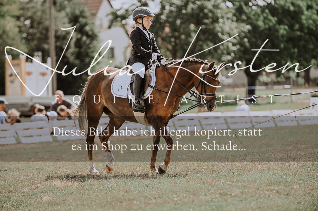 DSC_7602 | Pferde- und Turnierfotografie in Westsachsen. Pferdeportraits, Auftragszeichnungen und intuitive Kunst.