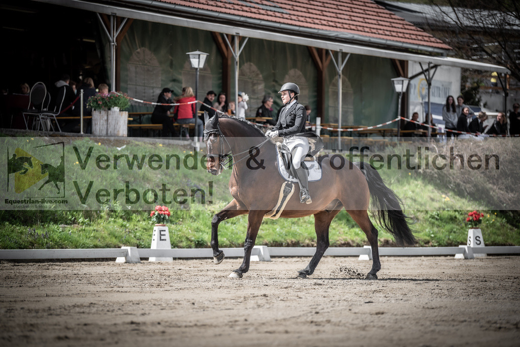 DSC_2974 | equestrian-live-com
