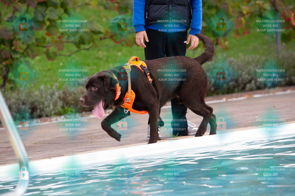 _HP_7572_1000o | HetPix, HetPix Fotodesign, Fotografie, Fotodesign, Webshop, Sportfotografie, Portraitfotografie, Onlineshop, Sportfotografie, Polch, Motorsportfotografie, Eventfotografie