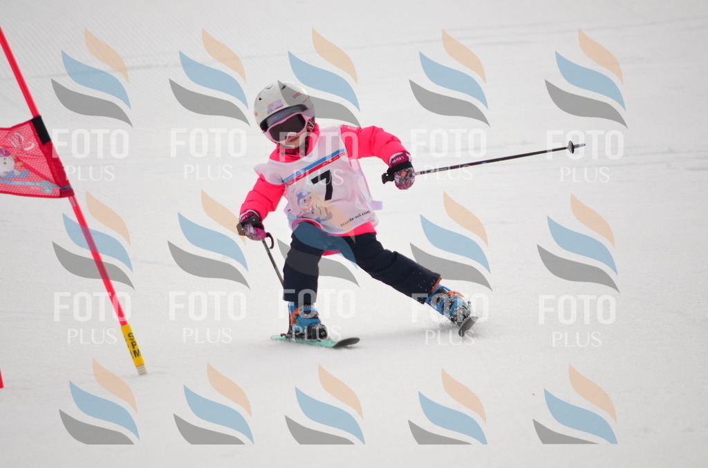 B9731 | holidayphoto