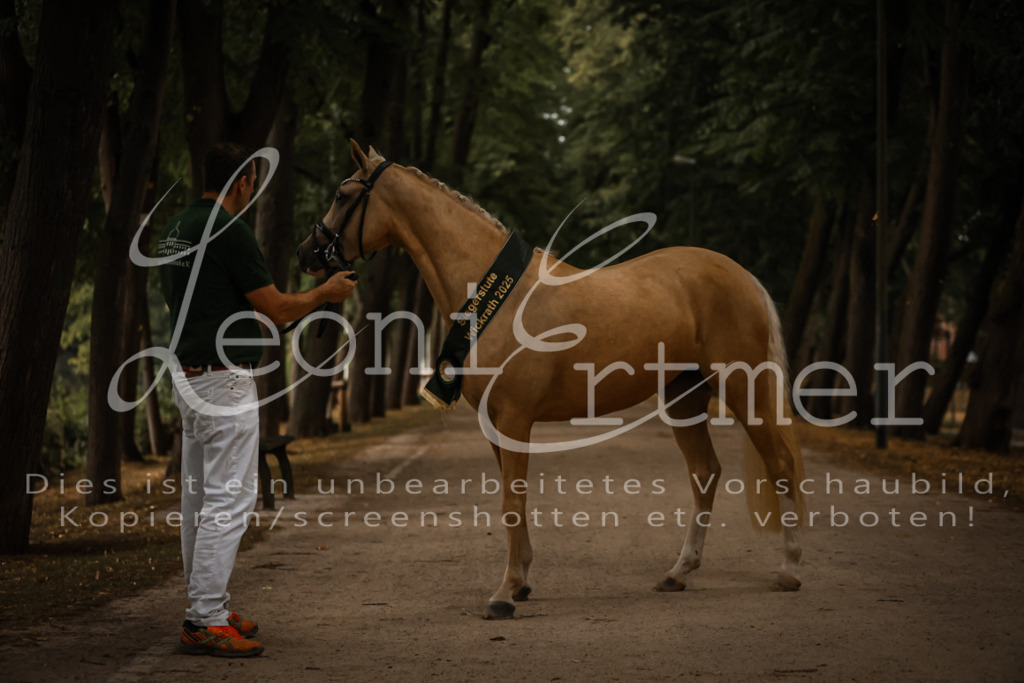 10.-12.Elite00161 | Leoni Ertmer Photography - Realisiert mit Pictrs.com