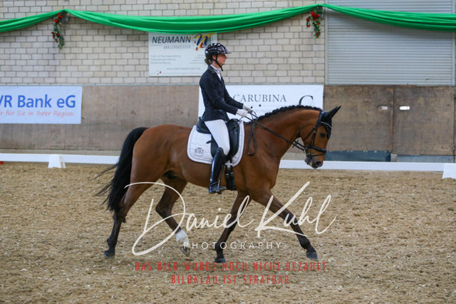 IMG_2594 | Turnierfotos kaufen im Webshop von Daniel Kuhl Photography – entdecke professionelle Reitsportfotos aus Turnieren & Events. Hochwertige Turnierbilder online bestellen & sichern. Jetzt Fotos von Reitsportturnieren kaufen!