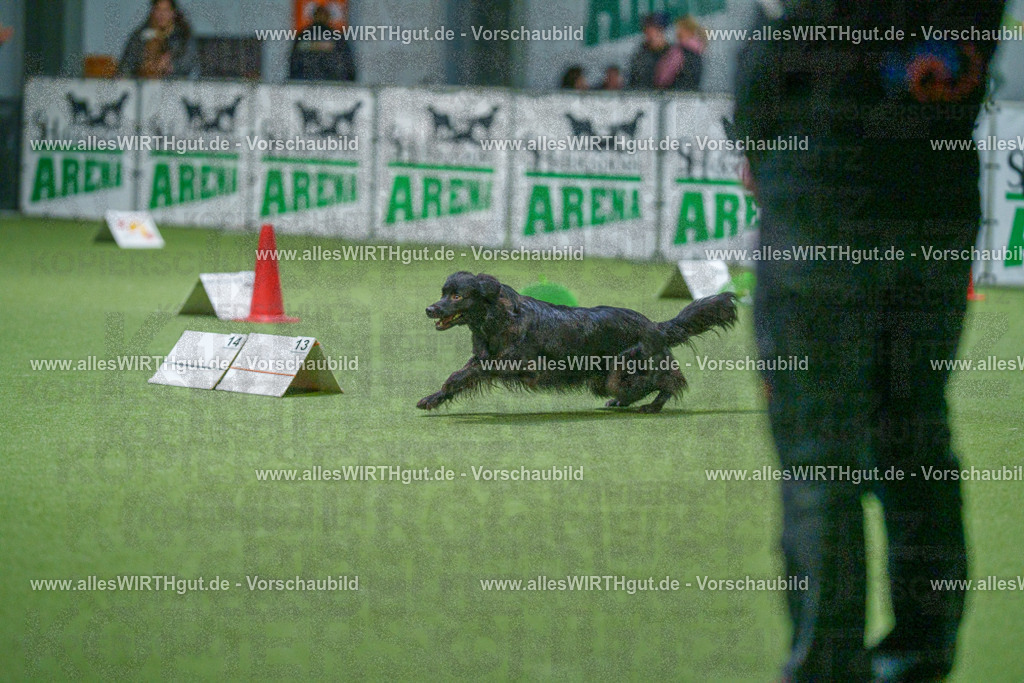 7R509975 | Professionelle Tierfotografie in Mönchengladbach von Daniel Wirth (allesWIRTHgut). Liebevolle & natürliche Bilder von Hunden & Katzen für unvergessliche Erinnerungen.