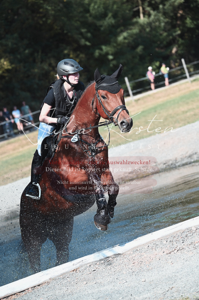 DSC_8773 | Pferde- und Turnierfotografie in Westsachsen. Pferdeportraits, Auftragszeichnungen und intuitive Kunst.