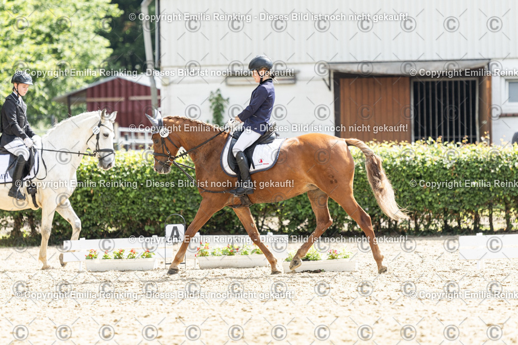 CL5A6558 | Emilia Reinking Fotografie - Realisiert mit Pictrs.com