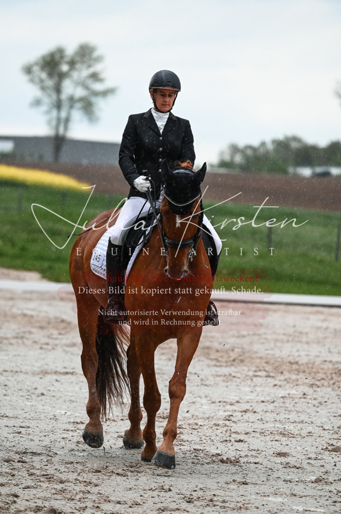 DSC_4418 | Pferde- und Turnierfotografie in Westsachsen. Pferdeportraits, Auftragszeichnungen und intuitive Kunst.