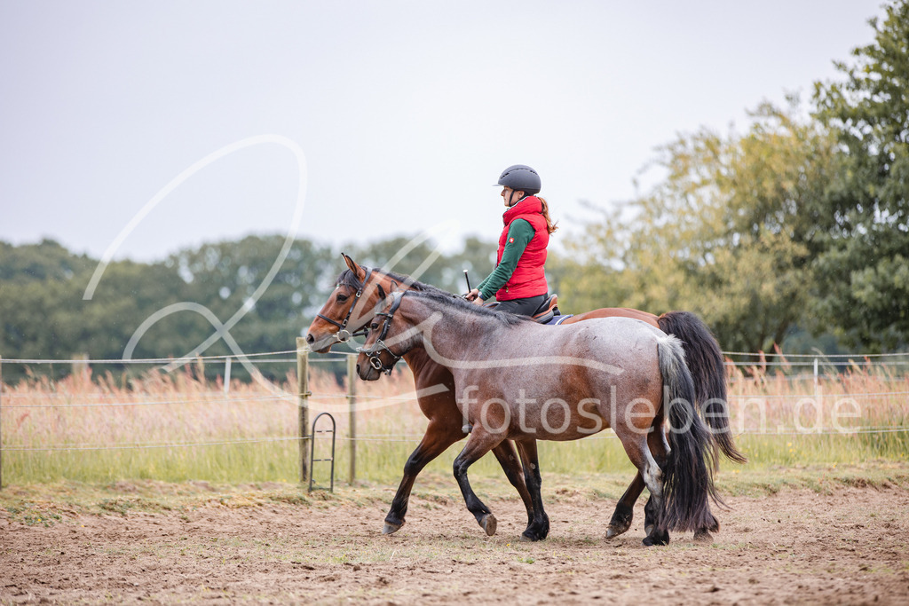 846A0256 | fotosleben - Realisiert mit Pictrs.com