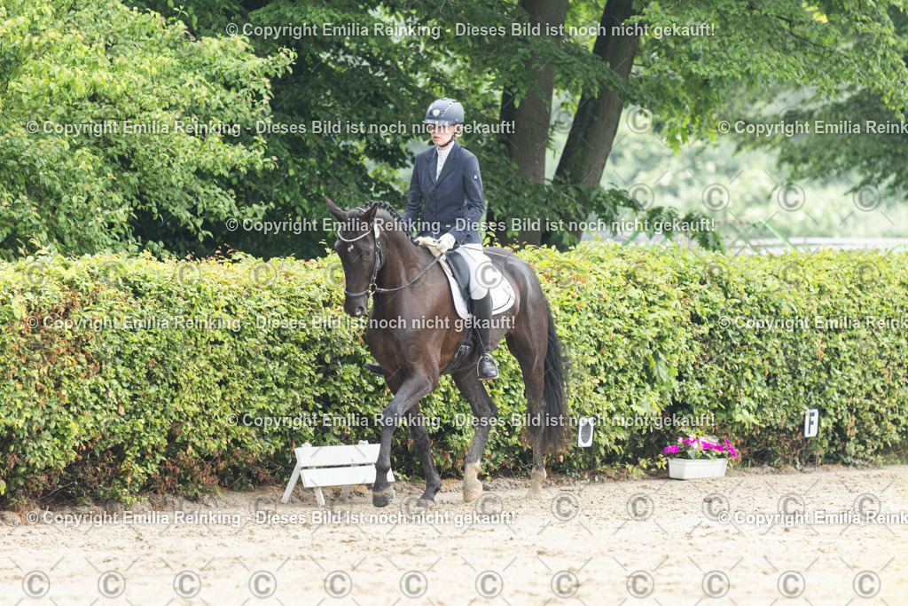 CL5A3151 | Emilia Reinking Fotografie - Realisiert mit Pictrs.com