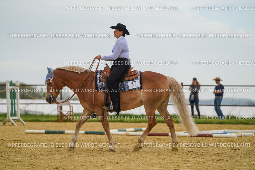 DSC02504 | Pferdegrafie