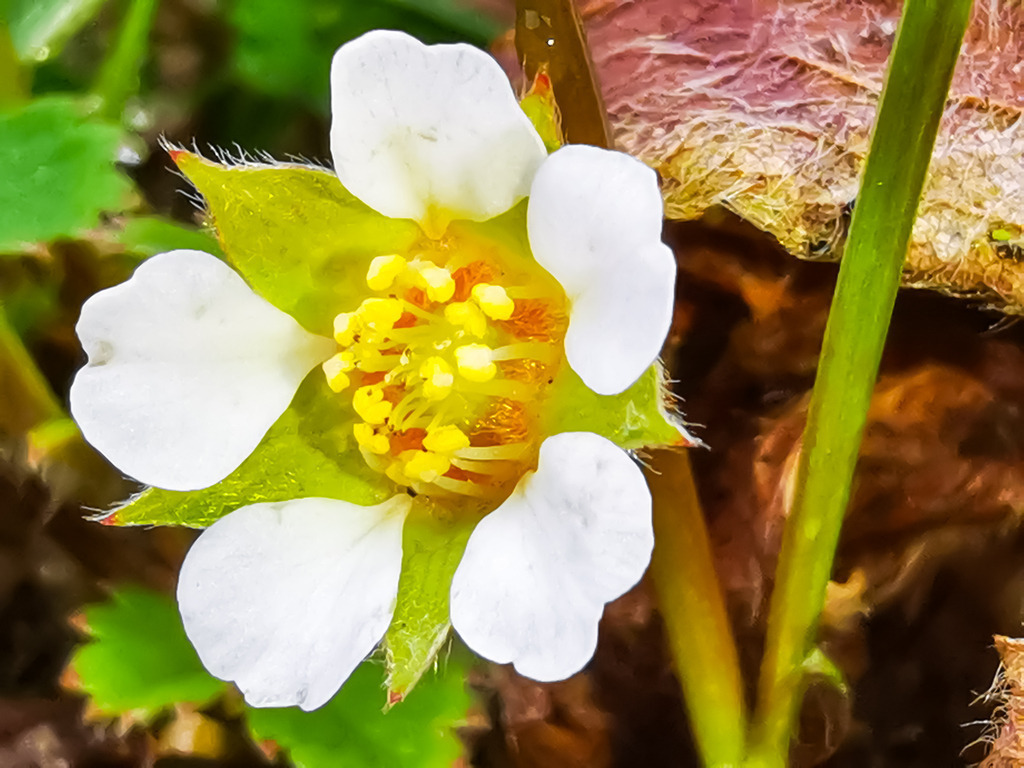 PSX_20230404_225548 | mtkfoto_ - Realisiert mit Pictrs.com