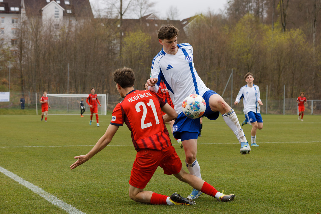 20260412-FCHS04_163 | 1.FC Heidenheim 1846 vs. FC Schalke 04, Fußball, U19, A-Junioren, NWL, U19-DFB-Nachwusliga, 2025/2026, 8. Spieltag, 12.04.2026 in Heidenheim, Walter-Birkhold-Jugendstadion (Foto: Michael Bulling) - Realisiert mit Pictrs.com