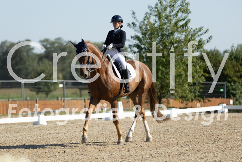 IMG_0481 | Creatify Fotografie